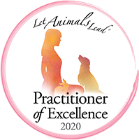 Practitioner-of-Excellence Practitioner-of-Excellence