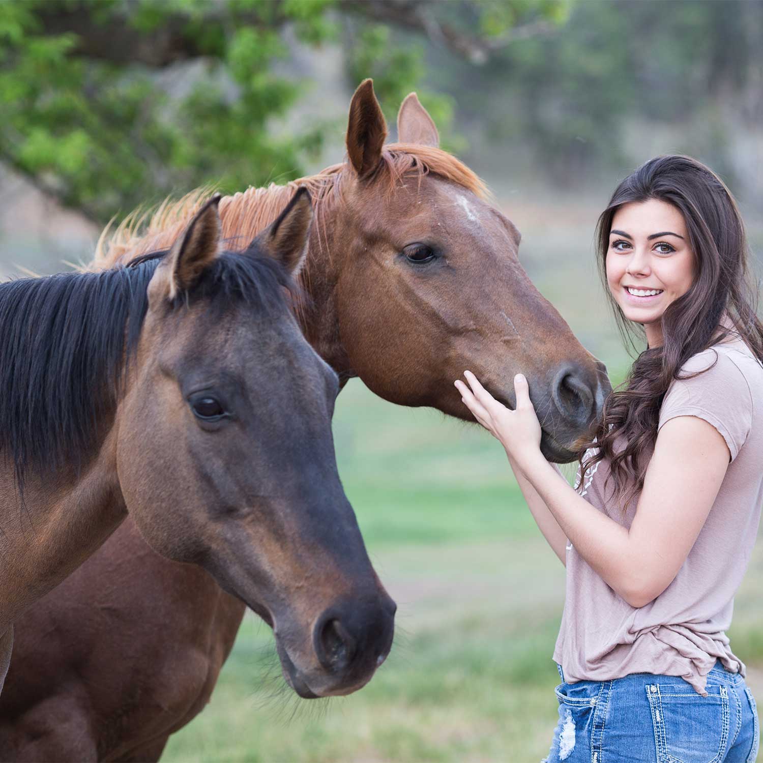 advanced-horse-reiki-classes advanced-horse-reiki-classes