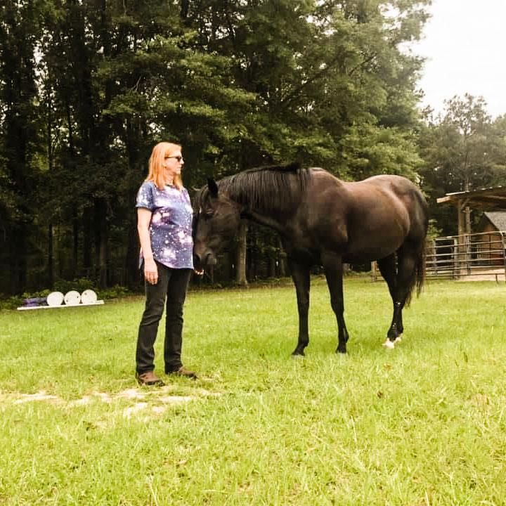 horse-reiki-2-advanced-techniques